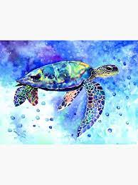 Turtle has disabled new messages. Pin On Wall Prints