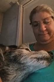 Dog adapts to paralysis