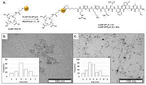 IJMS | Free Full-Text | Radiolabeled Gold Nanoseeds Decorated with  Substance P Peptides: Synthesis, Characterization and In Vitro Evaluation  in Glioblastoma Cellular Models