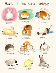 Animal Butts From Derlaine Animal Drawings Cute Animal Drawings Animal Art