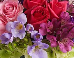 Visa check card heaven's scent florist republic mo mc. About Blooming Lovely Enniskillen County Fermanagh Florist