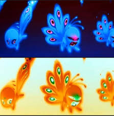 And the new miraculous holder is going to be… nino lahiffe(carapace), he is supposed to help ladybug and cat noir on hard missions. Professor For The Messed Up Agrestology Peacock Miraculous Theory
