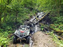 Hatfield Mccoy Trails 6 15 6 22 Yamaha Grizzly Atv Forum