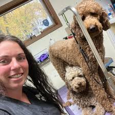 Edgewood Veterinary Clinic