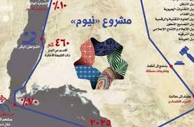 الأسئلة الممنوعة حول مشروع نيوم بين مصر والسعودية والأردن اخبار