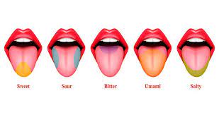Lengua Blanca Causas Sintomas Y Tratamiento Smysecret