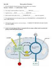 Diagram a diagram b part iii: Photosynthesis Worksheet 1 Doc Biol1408 1 Useformula 2 Thesun 3 Lighttravelsas Wave Or Particle 4 Chloroplasts Nametheorganelle 5 The Course Hero