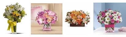 The latest complaint delivery/bait and switch was resolved on apr 08, 2021. The 8 Best Options For Flower Delivery In Santa Rosa 2021