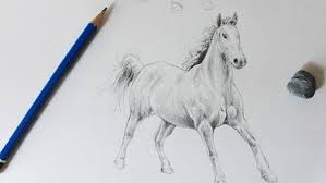 How To Draw Horses And Goats Free Tutorials On Craftsy Horse Drawings Realistic Drawings Animal Drawings