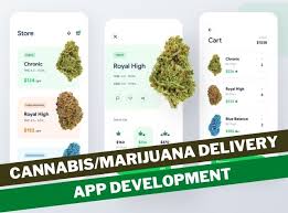420now weed delivery provides free delivery to the gta and mail delivery beyond. Medical Cannabis Marijuana Delivery Mobile App Development