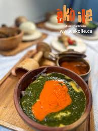 Image result for Culcasia ekongoloi