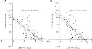 Maybe you would like to learn more about one of these? Tissue Transcriptome Driven Identification Of Epidermal Growth Factor As A Chronic Kidney Disease Biomarker Abstract Europe Pmc