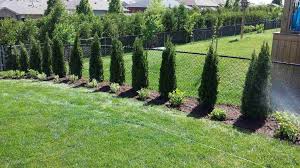 Degroot S Spire Cedars Hydrangea And Weigela Keeping It Simple Front Yard Landscaping Backyard Garden Garden Arch