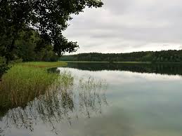 Działka budowlana 6800 m bory tucholskie las jezioro plaża. Rezerwat Przyrody Jezioro Piaseczno Bory Tucholskie Mapio Net