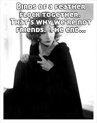 Birds Of The Same Feather Joke Rottenecards Funny Pictures Videos And Memes Birds Of A Feather Flock Together That S Why We Re Not Friends The En Sarcastic Quotes Cool Words Dumb Quotes