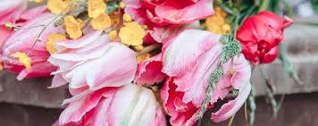 Order now & save $20. The Monarch Florists Mississauga Florist Flower Delivery