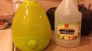 Maybe you would like to learn more about one of these? How To Clean A Humidifier Youtube