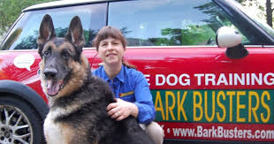 We start all new clients with an initial session. About Home Dog Training Alexandria Va Arlington Falls Church