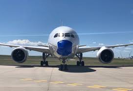 The aircraft then flew to seattle and. Awesome Cargolux S Masked 747 8 One Mile At A Time