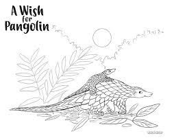 A Wish For Pangolin Carrie Hasler