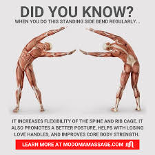 Did You Know In 2020 Yoga Workout Routine Easy Yoga Workouts Health And Fitness Articles