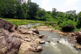 Some of our favorite picnic spots even have restaurants within walking distance if you forget to bring your basket. Destinations Meghalaya Tourism