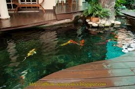 This Pond Is Part Of An Aquaponics System I Would Like To Create A Beautiful Looking Highly Functional Hydroponic Aquaponics System Aquaponics Aquaponics Diy