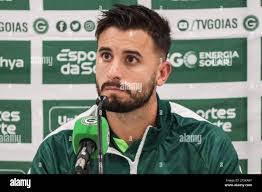 Louis Guzzo's Instagram, Twitter & Facebook