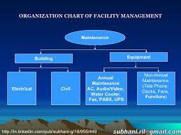 organization chart of facility managemnt