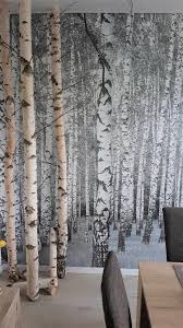 Weisse Birkenstamme Sind Dekorativ Funktional Und Man Hat Die Natur Im Haus Birkenstamme Gibt Es Hier Birkendoc De Shop In 2020 Birkenstamm Deko Birkenstamm Deko