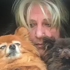 Cow Bay Development and Construction Updates