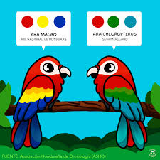 En el salvador, honduras y nicaragua crece arriba de los 1100 metros. Feliz 15 De Htm Honduras Turismo Marketing Sa Facebook