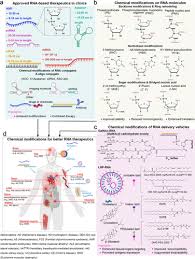 Image result for Modified Apt Test