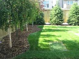 Find The Right House Tree For Your Own Garden Garden House Right Haus Baume Hinterhof Baume Garten Landschaftsbau