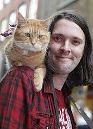 variety of cat lovers one man and his cat street cat bob a cat named bob cats
