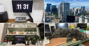 Check out our convenience pack selection for the very best in unique or custom, handmade pieces from our shops. Now I Have Everything I Need At Home S Pore Workers Share Their Wfh Setups Mothership Sg News From Singapore Asia And Around The World