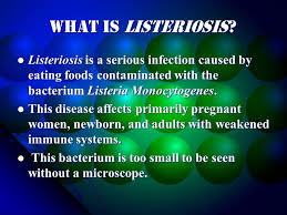 Listeria is known to be a highly motile pathogen. Listeriosis Listeria Monocytogenes A Psychrophilic Bacterium Ppt Descargar