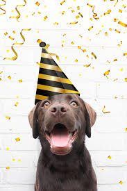 The Ultimate Guide To Throwing A Dog Birthday Party Redbarn Pet Products In 2020 Dog Birthday Party Dog Birthday Dog Holiday