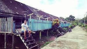 Rumah betang sungai utik berada di wilayah kabupaten kapuas hulu, kalimantan barat. Wisata Sejarah Dan Adat Sungai Utik Ke Desa Batu Gerakan Masyarakat Mandiri