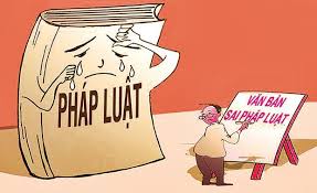 Tiếp tục hoàn thiện thể chế về xây dựng, ban hành văn bản quy phạm pháp luật