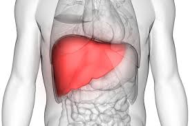 We did not find results for: Fatty Liver In Hindi à¤« à¤Ÿ à¤² à¤µà¤° à¤• à¤‰à¤ªà¤š à¤° à¤« à¤Ÿ à¤² à¤µà¤° à¤¸ à¤® à¤ªà¤Ÿà¤® à¤¸ 1mg