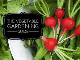 Your garden supply and advice hq. Growing A Home Vegetable Garden A Comprehensive Guide Gardening Channel