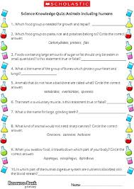 Teach curious children surprising facts about the animal kingdom every item on this page was chosen by a woman's day editor. 5 Year Old Animal Quiz