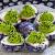 Bacon Deviled Eggs