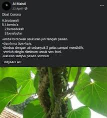 Maybe you would like to learn more about one of these? Cek Fakta Belum Ada Bukti Brotowali Sebagai Obat Corona Merdeka Com