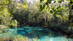 Find unique places to stay with local hosts in 191 countries. Ichetucknee Springs State Park Florida State Parks