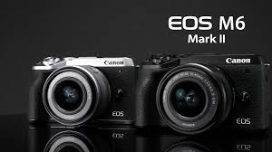 I am not a big fan of their weight, but so be it. Canon Eos M6 Mark Ii 4k Is Pixel Binned 3k And Sony A6600 Old Sensor Debacle Due To Internal Politics Eoshd Com Filmmaking Gear And Camera Reviews