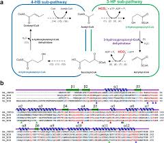 Hewlett packard enterprise support center hpe support center. Structural Insight Into Substrate Specificity Of 3 Hydroxypropionyl Coenzyme A Dehydratase From Metallosphaera Sedula Scientific Reports