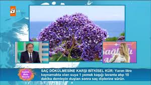 Sac Dokulmesine Karsi Bitkisel Kur Saglikli Mutlu Huzurlu 60 Bolum Atv Mutlu Sac Niluferler