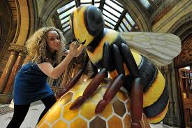 Find more details about bee coin cryptocurrency at the. Giant Bee Sculptures To Swarm Manchester In New Public Art Trail Manchester Evening News